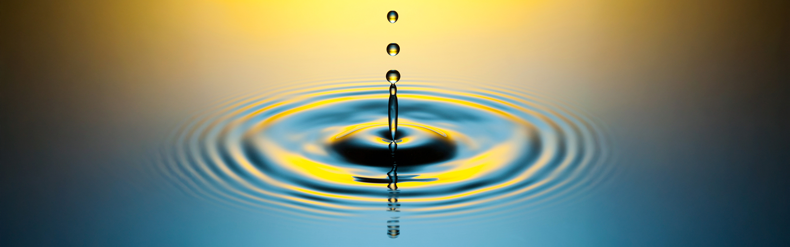 投資先として注目される新興国市場 | ニューバーガー・バーマン