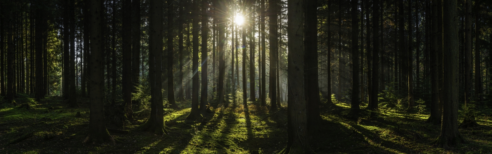 2022年第三季股票市场展望| 路博迈