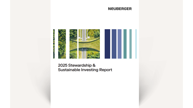 SSI Annual Report
