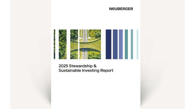 SSI Annual Report