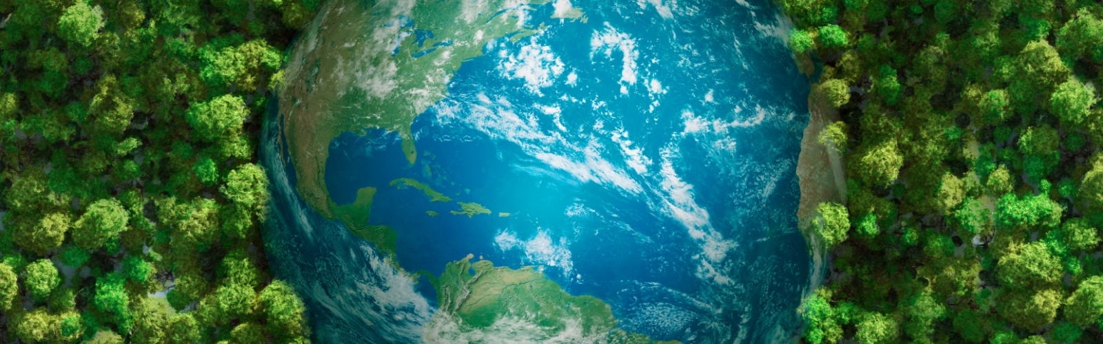 Environmental Social And Governance Annual Report